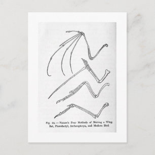 Natuur briefkaart met vier vleugels