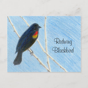 Natuur Briefkaart voor roofvogels