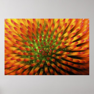 Natuur Candy Corn fine art print