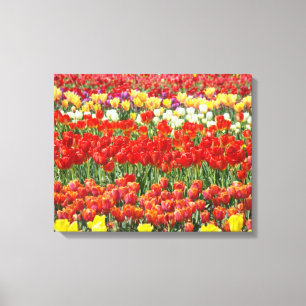 Natuur Canvas afdrukken Tulp Bloemen weide