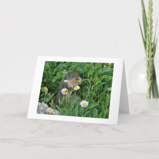 Natuur Climate Note Card Bedankkaart