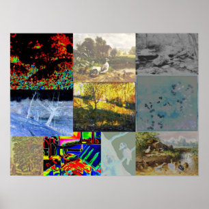 Natuur collage poster