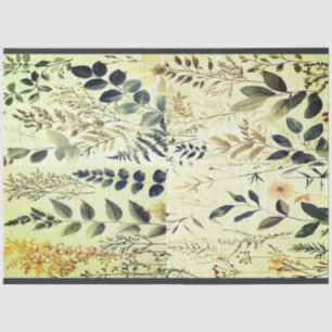 Natuur Collage Tissue Paper van Elsie Lane Tissuepapier