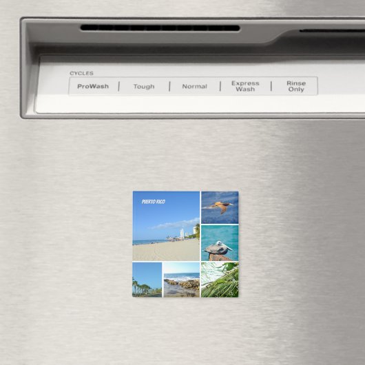 Natuur collage van San Juan, Puerto Rico Magneet (Insitu (Vaatwasser))