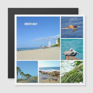 Natuur collage van San Juan, Puerto Rico magneet