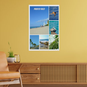 Natuur collage van San Juan, Puerto Rico Poster