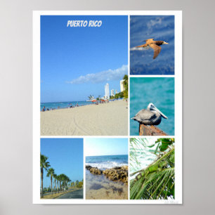 Natuur collage van San Juan, Puerto Rico Poster