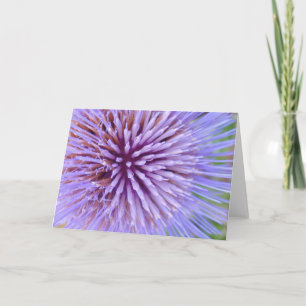 Natuur Collectie Groeten Kaart