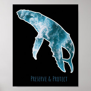 Natuur Conservation Whale Milieubescherming Poster