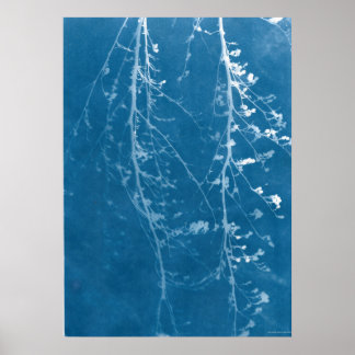 Natuur Cyanotype in Blauwdruk & Digitale Download Poster