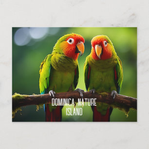 NATUUR EILAND DOMINICA PAPEGAAIEN BRIEFKAART