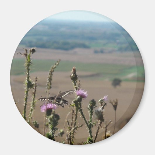 Natuur en Butterfly Photo Magnet Magneet (Voorkant)