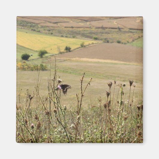 Natuur en Butterfly Photo Magnet Magneet (Voorkant)