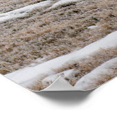 Natuur februari Poster met gedicht (Hoek)