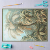 Natuur Fern Ernst Haeckel - Vergiftepapier Tissuepapier (Craft)