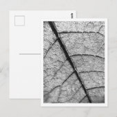 Natuur Fine Art fotografie briefkaart (Voorkant / Achterkant)