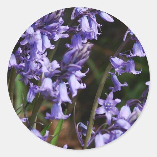 Natuur Floral Blue Paars Ronde Sticker (Voorkant)