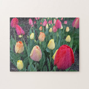 Natuur Floral Tulips Foto Legpuzzel