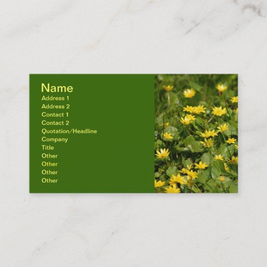 Natuur FLOWERS Y Visitekaartje (Voorkant)