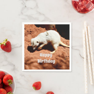 Natuur Forager: White Meerkat Digging for Bugs Servet