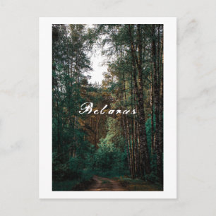 Natuur Forest Birch Trees Landschap Belarus Briefkaart