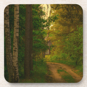 Natuur Forest Rural Hut Village Belarus Bier Onderzetter