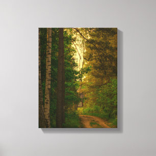 Natuur Forest Rural Hut Village Belarus Canvas Afdruk