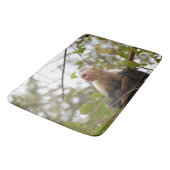 Natuur fotografie, Capuchin Monkey Badmat (Gekanteld)