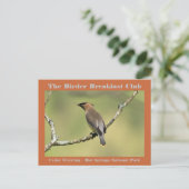 Natuur Fotografie Cedar Waxwing Birder Briefkaart (Staand voorkant)