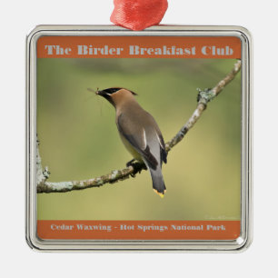 Natuur Fotografie Cedar Waxwing Birder Metalen Ornament