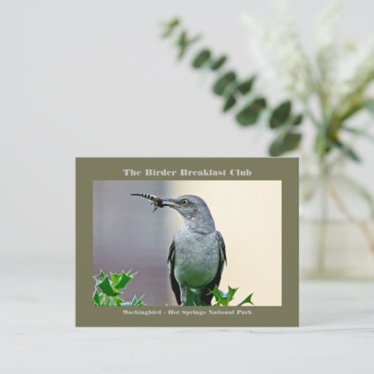 Natuur Fotografie Mockingbird Birder Card Briefkaart (Staand voorkant)