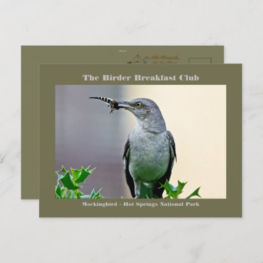 Natuur Fotografie Mockingbird Birder Card Briefkaart (Voorkant / Achterkant)