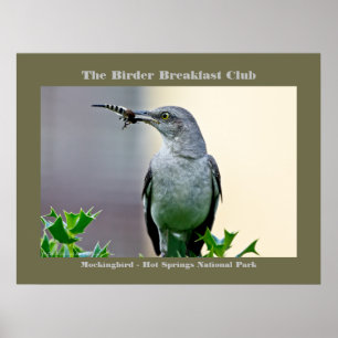 Natuur Fotografie Mockingbird Birder Poster