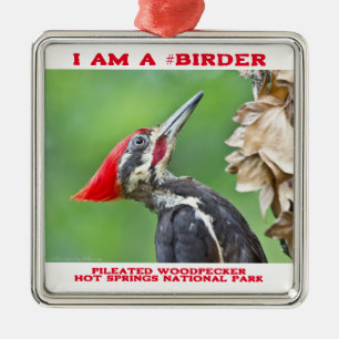 Natuur Fotografie Pileated Woodpecker Birder Metalen Ornament