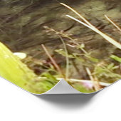 Natuur Fotografie Poster (Hoek)