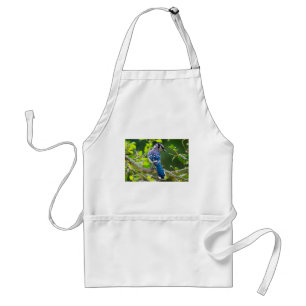 Natuur Fotografie Shy Blue Jay Apparel Giften Standaard Schort