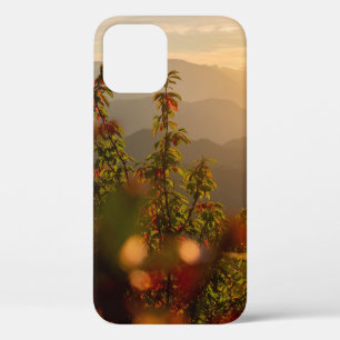Natuur fotografie van groene bomen die de mond ove iPhone 12 hoesje