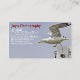 Natuur Fotografie Visitekaartjes