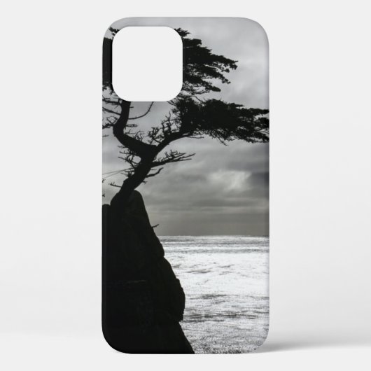 Natuur Fotografie zwart-wit Case-Mate iPhone Case (Achterkant)