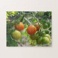 Natuur Garden Cherry Tomaten