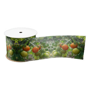 Natuur Garden Cherry Tomaten Lint