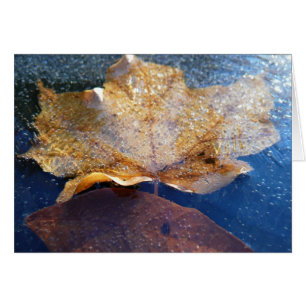 Natuur gele leder in de herfst, bevroren
