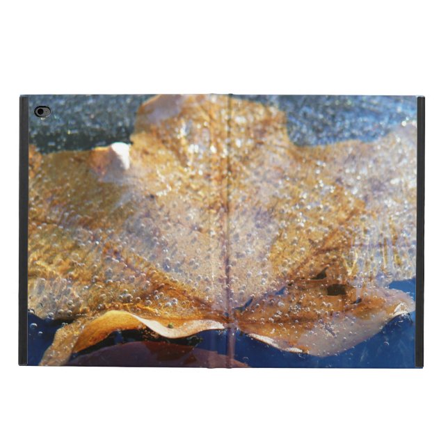 Natuur gele leder in de herfst, bevroren (Buitenkant)