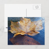 Natuur gele leder in de herfst, bevroren briefkaart (Voorkant / Achterkant)