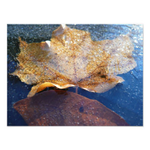 Natuur gele leder in de herfst, bevroren foto afdruk
