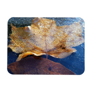 Natuur gele leder in de herfst, bevroren magneet