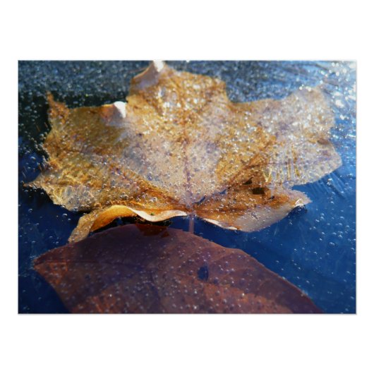 Natuur gele leder in de herfst, bevroren perfect poster (Voorkant)