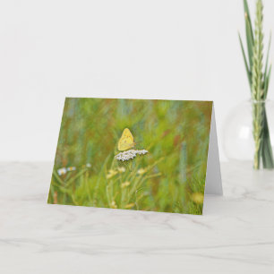 Natuur gele vlinder Kunstnoot Kaart