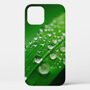 Natuur gras groene waterbladblad iPhone 12 hoesje