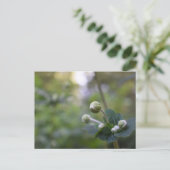 Natuur groene bloem tuintuinbouwfoto's briefkaart (Staand voorkant)